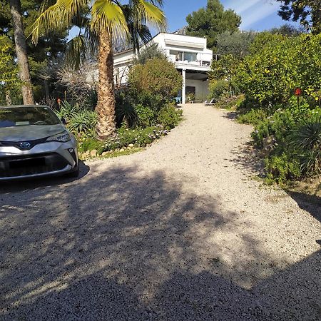 456 Chemin De La Pinede Lägenhet Menton Exteriör bild