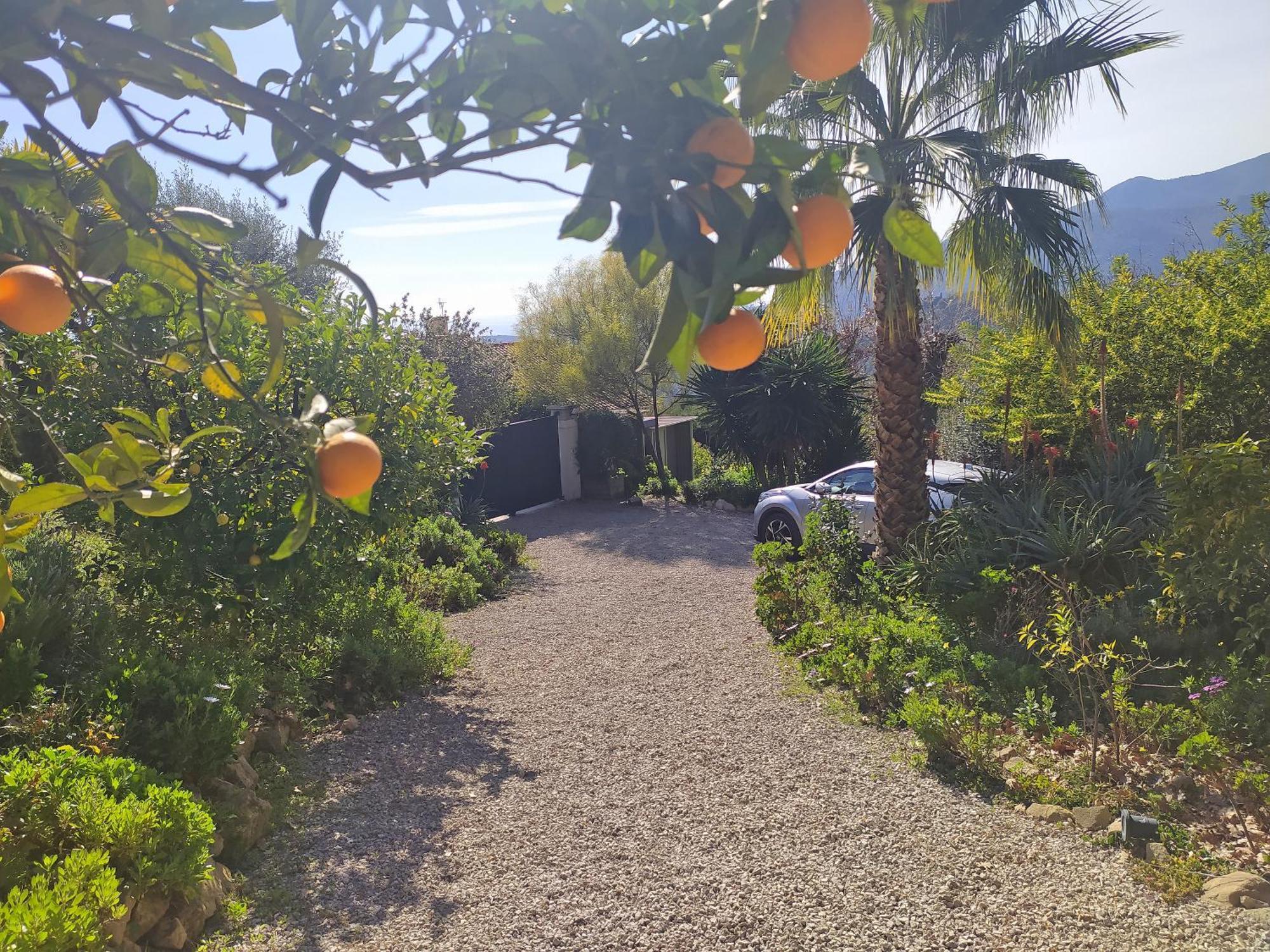 456 Chemin De La Pinede Lägenhet Menton Exteriör bild
