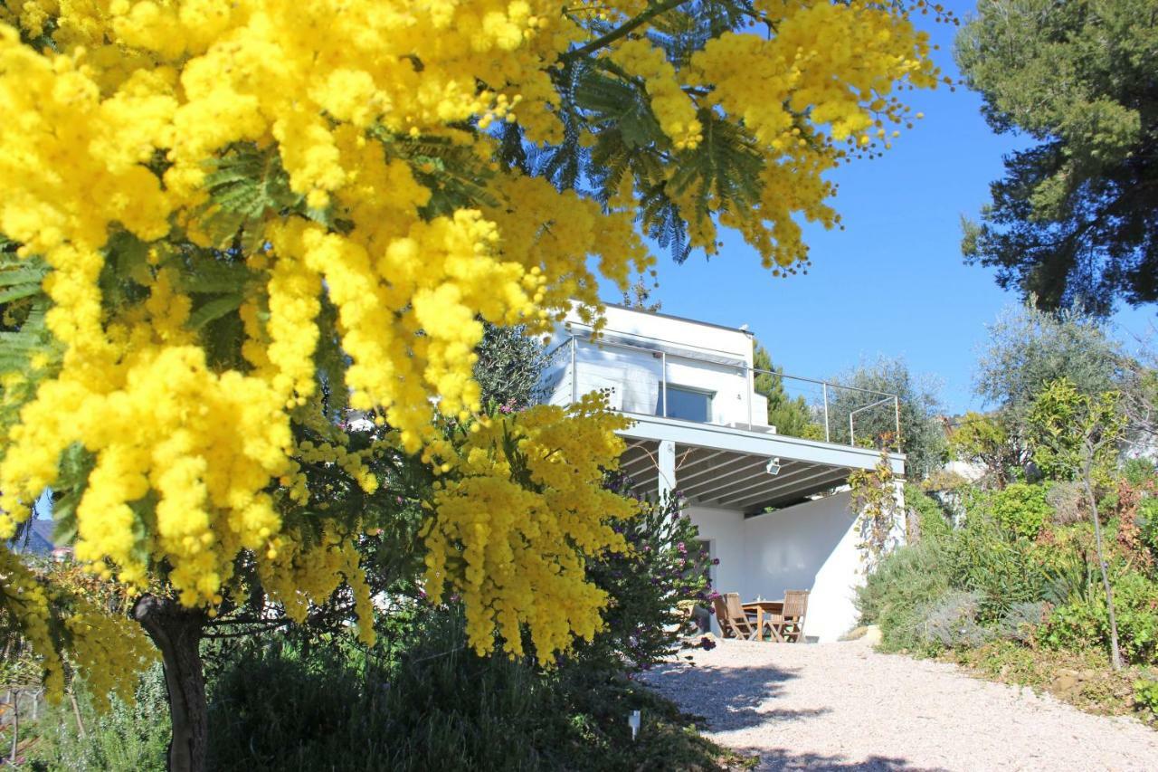 456 Chemin De La Pinede Lägenhet Menton Exteriör bild